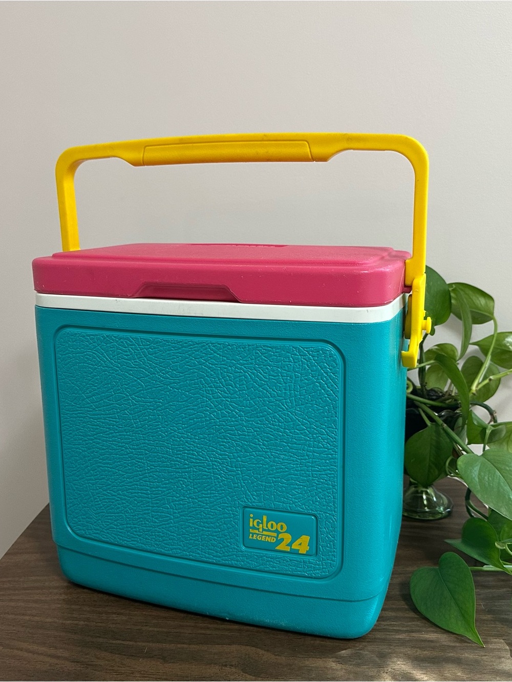 Vintage Igloo 24 Cooler in Teal, Pink & Yellow